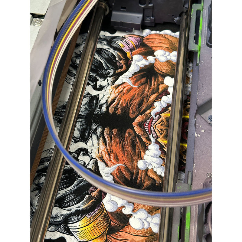 RICOH Ri 4000 DTG/DTF Printer