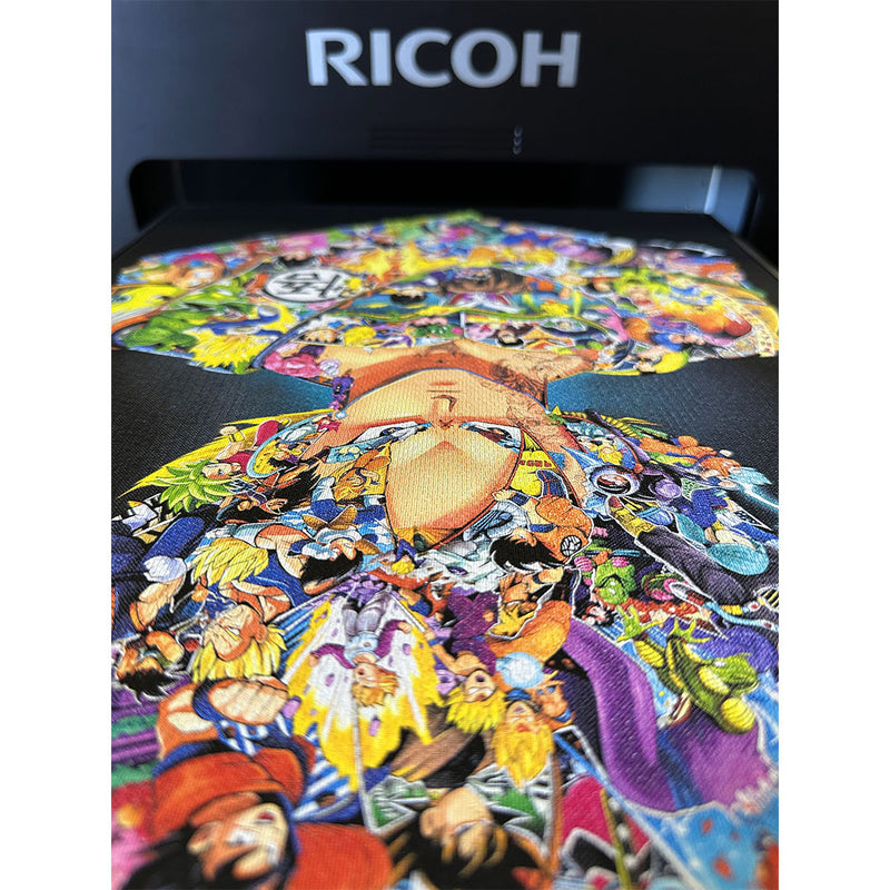 RICOH Ri 4000 DTG/DTF Printer