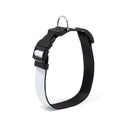 Color Prime Dog Collar
