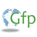 Gfp Gloss - Polymeric UV 4 Mil Vinyl Removable Clear Adhesive