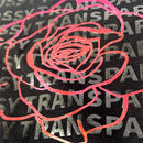 Discontinued - Prisma PU High Glossy Heat Transfer Vinyl - 20" Width 1 Foot